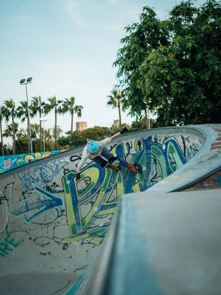 Grind in a bowl with palm trees behind